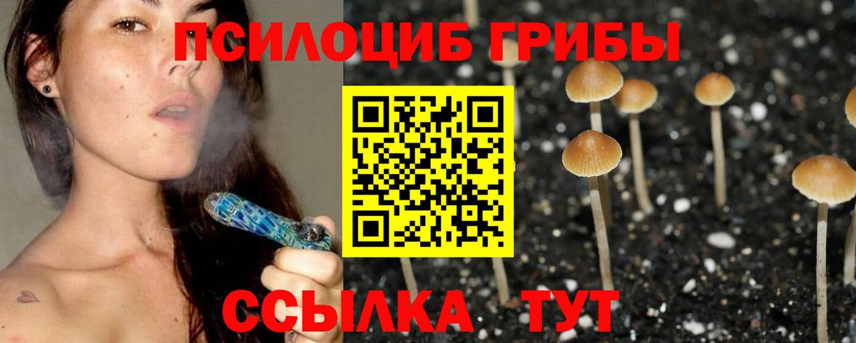 Коммунар  Галлюциногенные грибы Magic Shrooms  Вход с VPN 